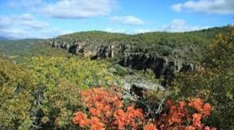 Guadalajara - Matarrubia - 695m2