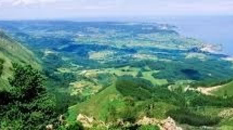 Guadalajara - Matarrubia - 695m2