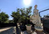 Casa de campo con terreno en venta en la España, Linares, ref: TR413805 foto