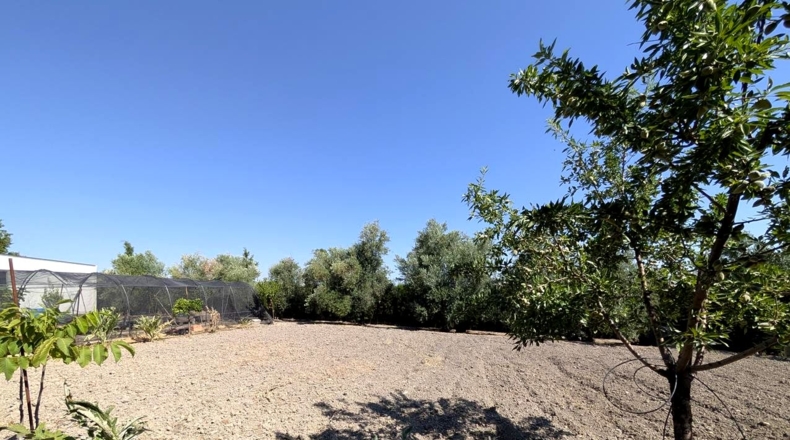 Jaén - Linares - 2931m2