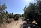 Casa de campo con terreno en venta en la España, Linares, ref: TR413805 foto