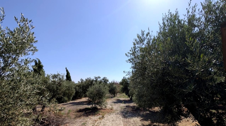Jaén - Linares - 2931m2