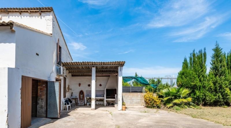 Valencia - Valencia - 800m2