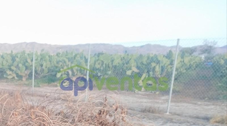 Murcia - Lorca - 3783m2