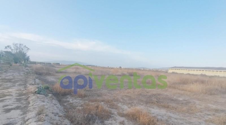 Murcia - Lorca - 3783m2