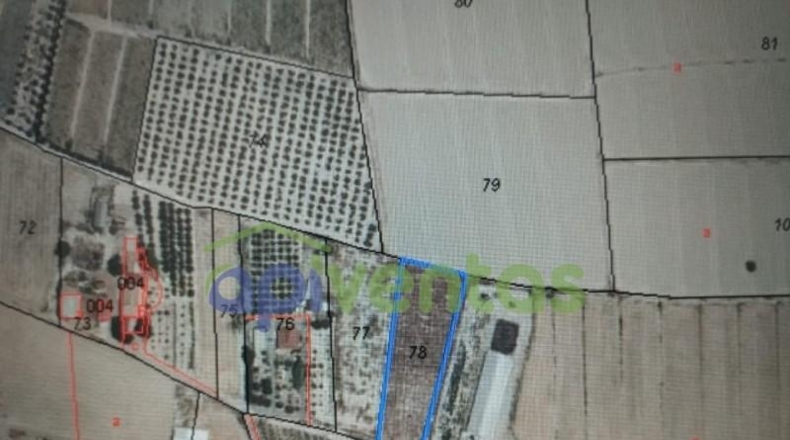 Murcia - Lorca - 3783m2