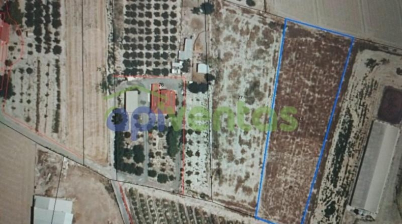 Murcia - Lorca - 3783m2