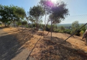 Terreno no urbanizable en venta en la España, Almodóvar del Río, ref: TR383674 foto