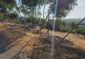 Terreno no urbanizable en venta en la España, Almodóvar del Río, ref: TR383674 foto