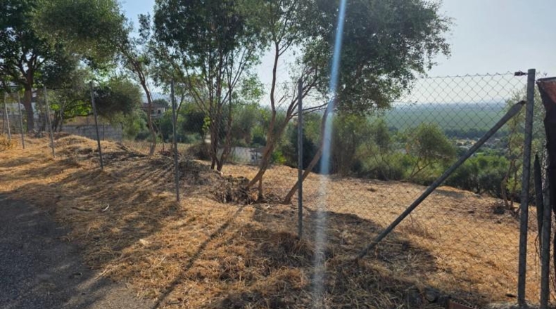Córdoba - Almodóvar del Río - 1276m2