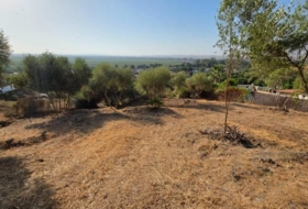 Almodóvar del Río 1276&nbsp;m²