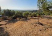 Terreno no urbanizable en venta en la España, Almodóvar del Río, ref: TR383674 foto