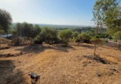 Terreno no urbanizable en venta en la España, Almodóvar del Río, ref: TR383674 foto