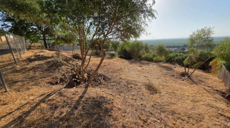 Córdoba - Almodóvar del Río - 1276m2