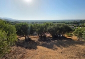 Terreno no urbanizable en venta en la España, Almodóvar del Río, ref: TR383674 foto