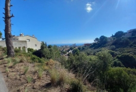 Peñíscola 581&nbsp;m²