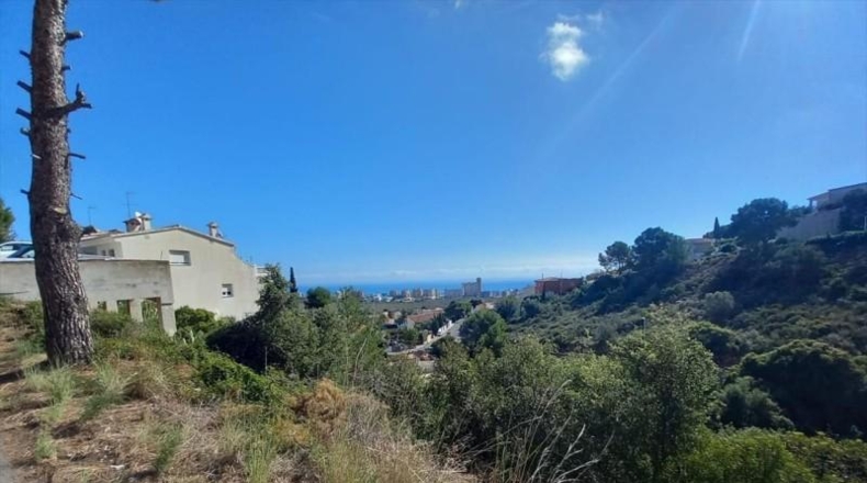Castellón - Peñíscola - 581m2