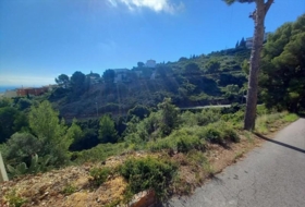 Peñíscola 581&nbsp;m²