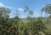 Suelo urbano en venta en la España, Vacarisses, ref: TR120758 foto