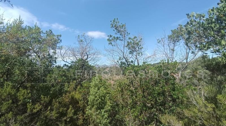 Barcelona - Vacarisses - 2400m2