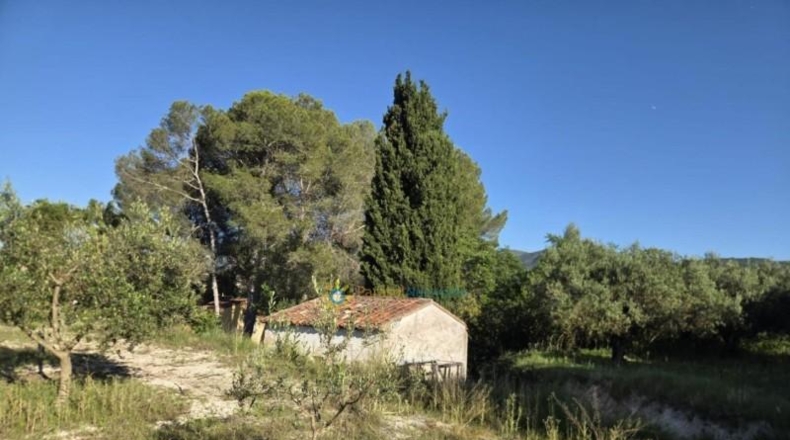 Valencia - Ador - 5459m2