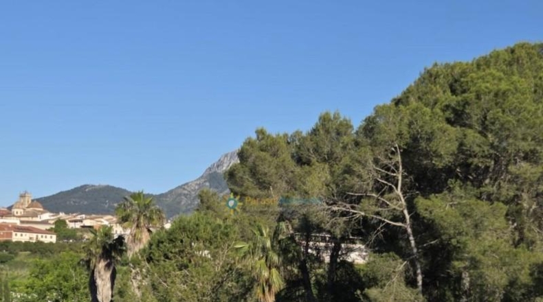 Valencia - Ador - 5459m2