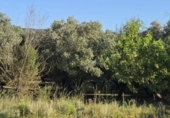 Terreno no urbanizable en venta en la España, Ador, ref: TR413810 foto
