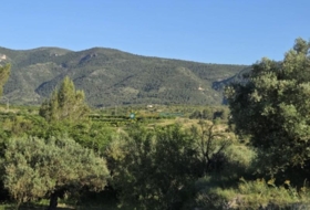 Ador 5459&nbsp;m²