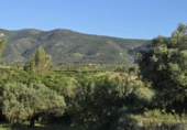 Terreno no urbanizable en venta en la España, Ador, ref: TR413810 foto