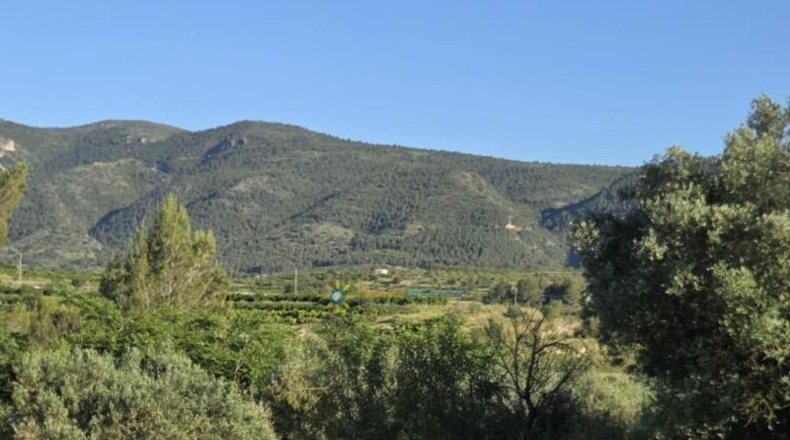 Valencia - Ador - 5459m2