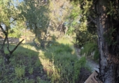 Terreno no urbanizable en venta en la España, Ador, ref: TR413810 foto