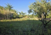 Terreno no urbanizable en venta en la España, Ador, ref: TR413810 foto