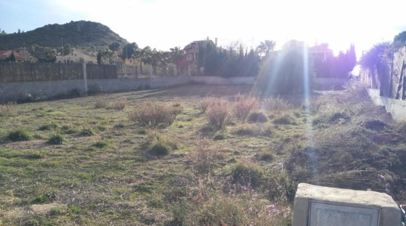 Murcia - Calasparra - 1250m2