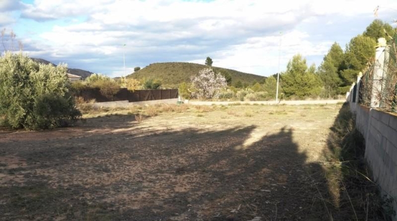 Murcia - Calasparra - 1250m2