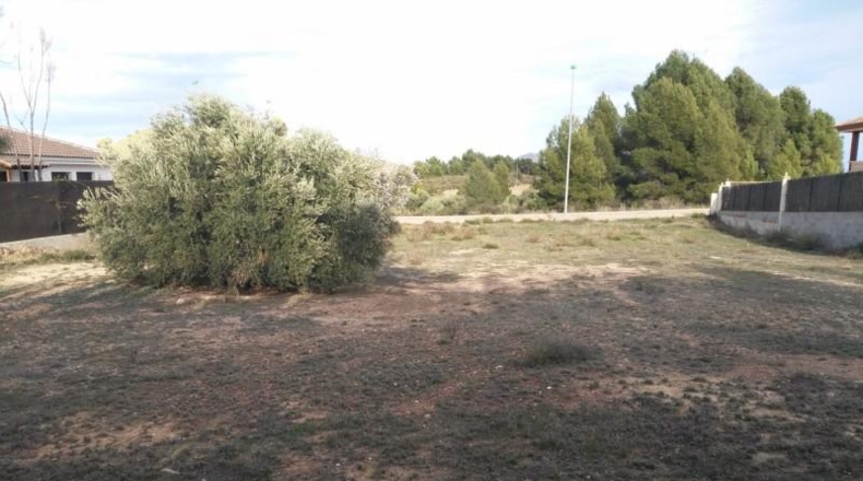 Murcia - Calasparra - 1250m2