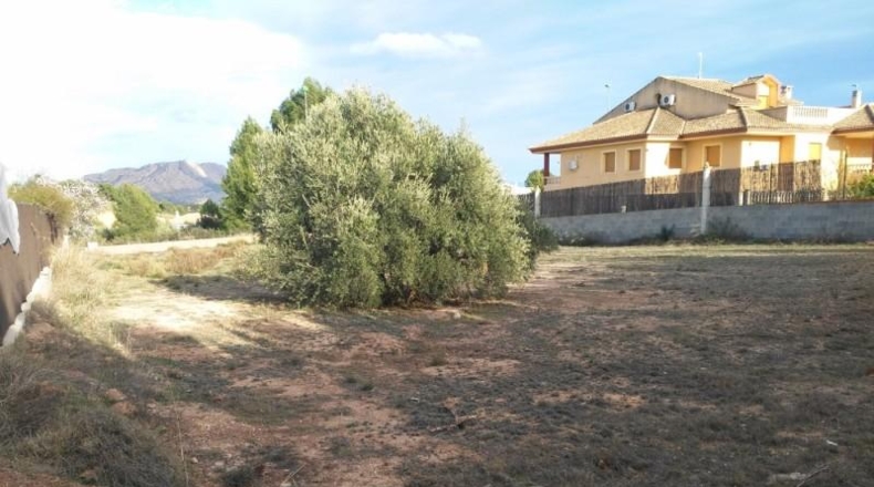 Murcia - Calasparra - 1250m2