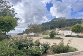 Foto 6