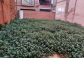 Suelo urbano en venta en la España, Burriana, ref: TR413811 foto