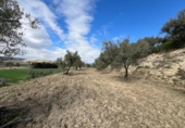 Parcela urbanizable en venta en la España, Alhendín, ref: TR413814 foto