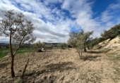 Parcela urbanizable en venta en la España, Alhendín, ref: TR413814 foto