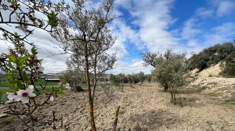 Granada - Alhendín - 3183m2