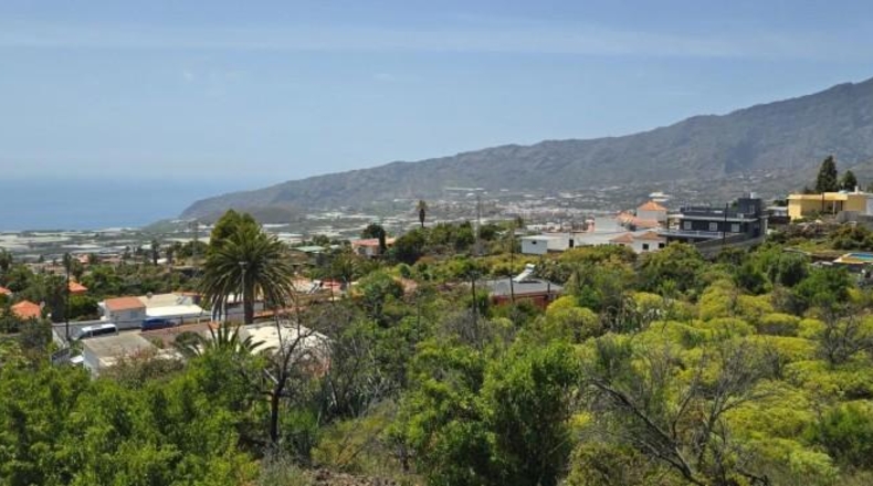 Santa Cruz de Tenerife - El Paso - 1449m2