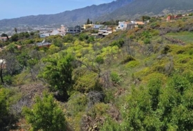 El Paso 1449&nbsp;m²