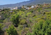 Suelo urbano en venta en la España, El Paso, ref: TR413815 foto