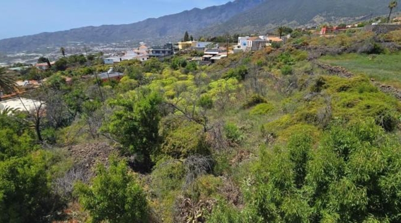 Santa Cruz de Tenerife - El Paso - 1449m2