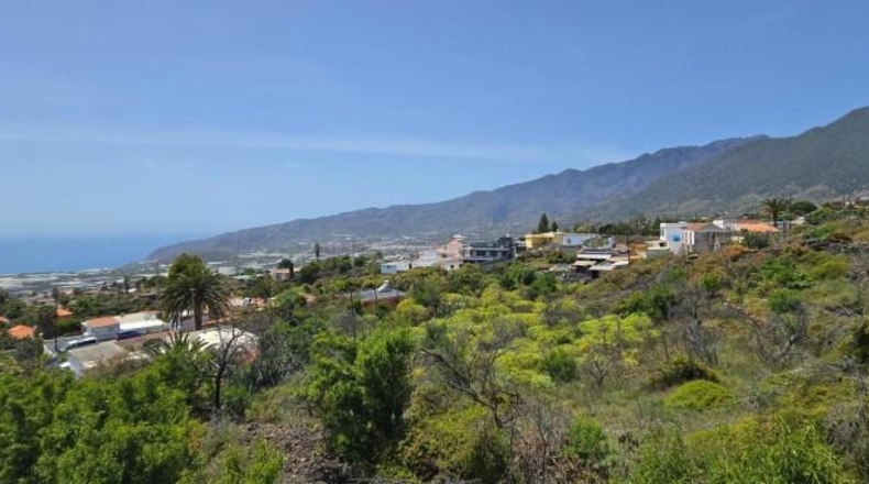 Santa Cruz de Tenerife - El Paso - 1449m2