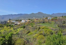 El Paso 1449&nbsp;m²
