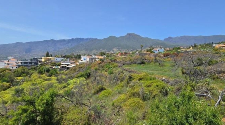Santa Cruz de Tenerife - El Paso - 1449m2