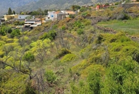El Paso 1449&nbsp;m²