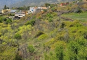 Suelo urbano en venta en la España, El Paso, ref: TR413815 foto